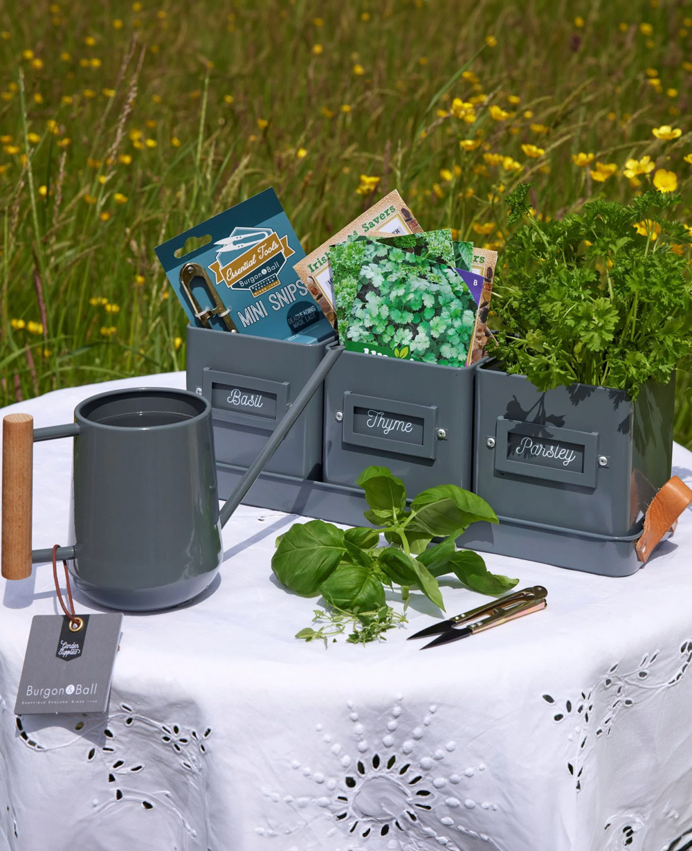 Kitchen Herb Garden Gift Set Kitchen Herb Garden Gift Set